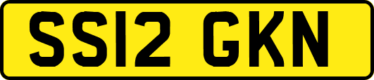 SS12GKN