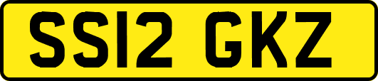 SS12GKZ