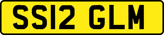 SS12GLM