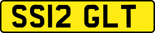 SS12GLT