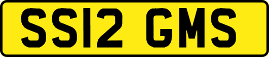 SS12GMS