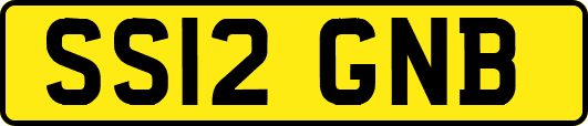 SS12GNB