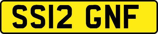 SS12GNF
