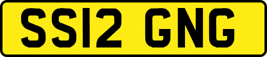 SS12GNG