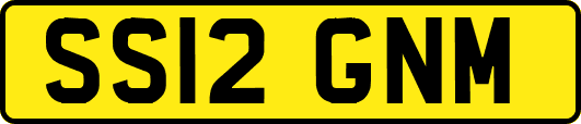 SS12GNM