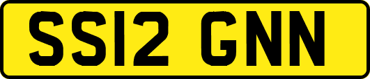 SS12GNN