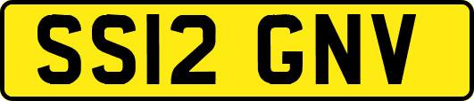 SS12GNV