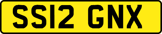 SS12GNX