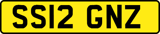 SS12GNZ