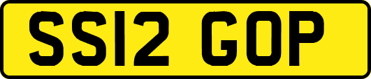 SS12GOP