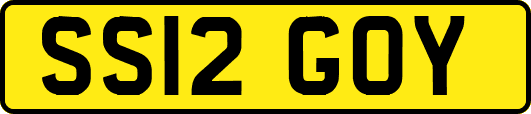 SS12GOY