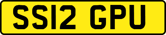 SS12GPU