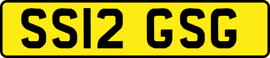 SS12GSG