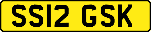 SS12GSK