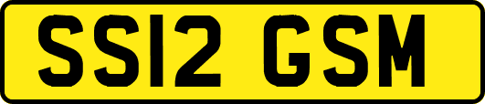 SS12GSM