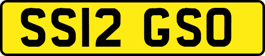 SS12GSO