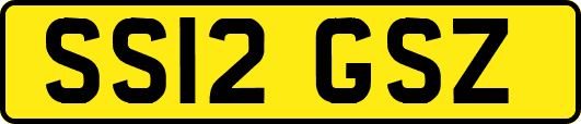 SS12GSZ