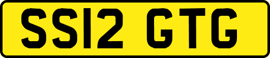 SS12GTG