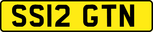 SS12GTN