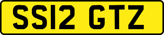 SS12GTZ