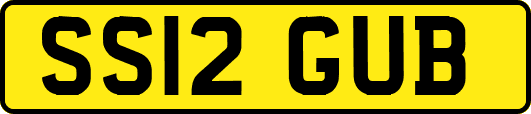 SS12GUB