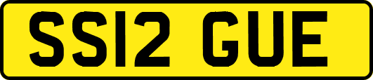 SS12GUE