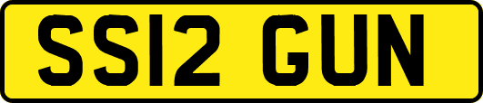 SS12GUN