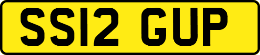 SS12GUP