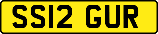 SS12GUR