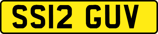 SS12GUV
