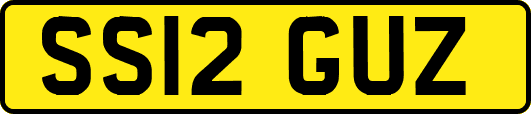 SS12GUZ
