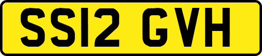 SS12GVH