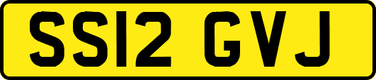SS12GVJ