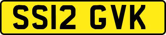 SS12GVK