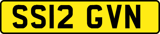 SS12GVN