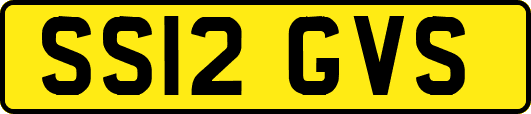 SS12GVS
