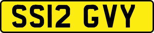 SS12GVY