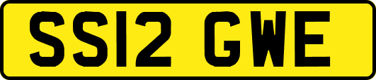 SS12GWE
