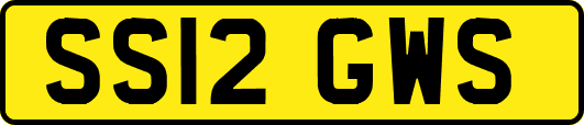 SS12GWS
