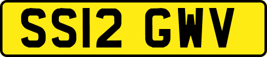 SS12GWV