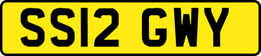 SS12GWY