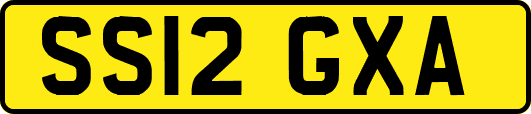 SS12GXA