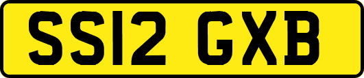 SS12GXB