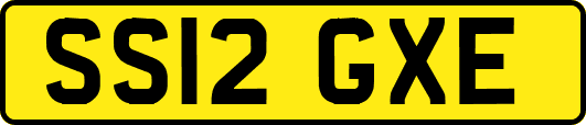 SS12GXE