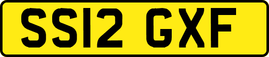SS12GXF