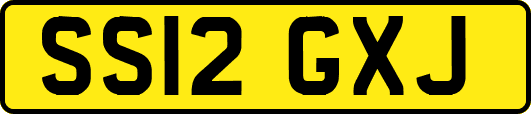 SS12GXJ