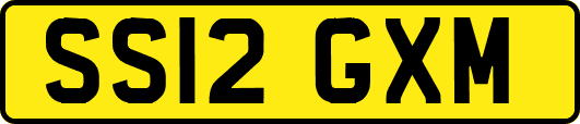 SS12GXM