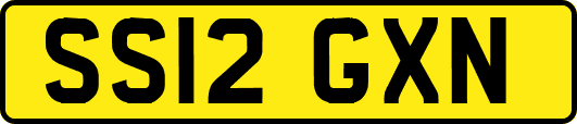 SS12GXN