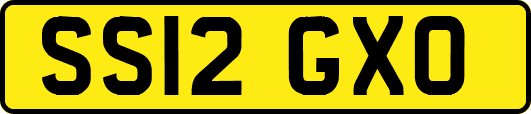 SS12GXO