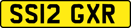 SS12GXR